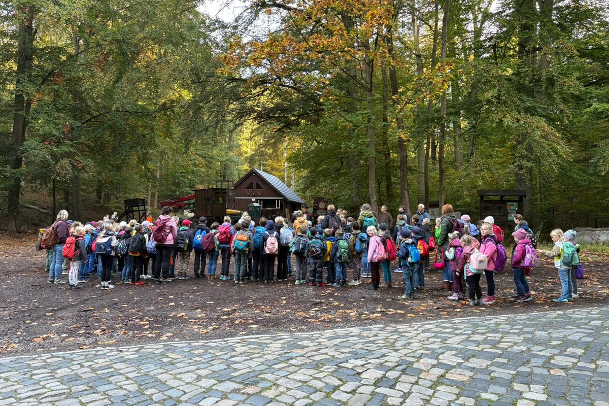 Titelbild für Beitrag: Waldjugendspiele – Wissen, Geschicklichkeit und Teamgeist gefragt
