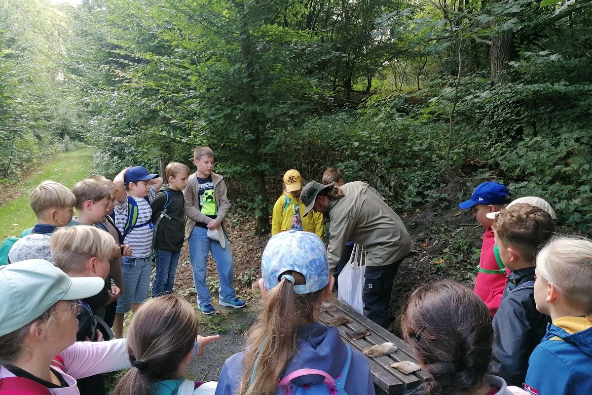 Titelbild für Beitrag: Auf Entdeckungstour im Hohen Holz – unsere 4. Klasse erlebt den Wald ganz neu!