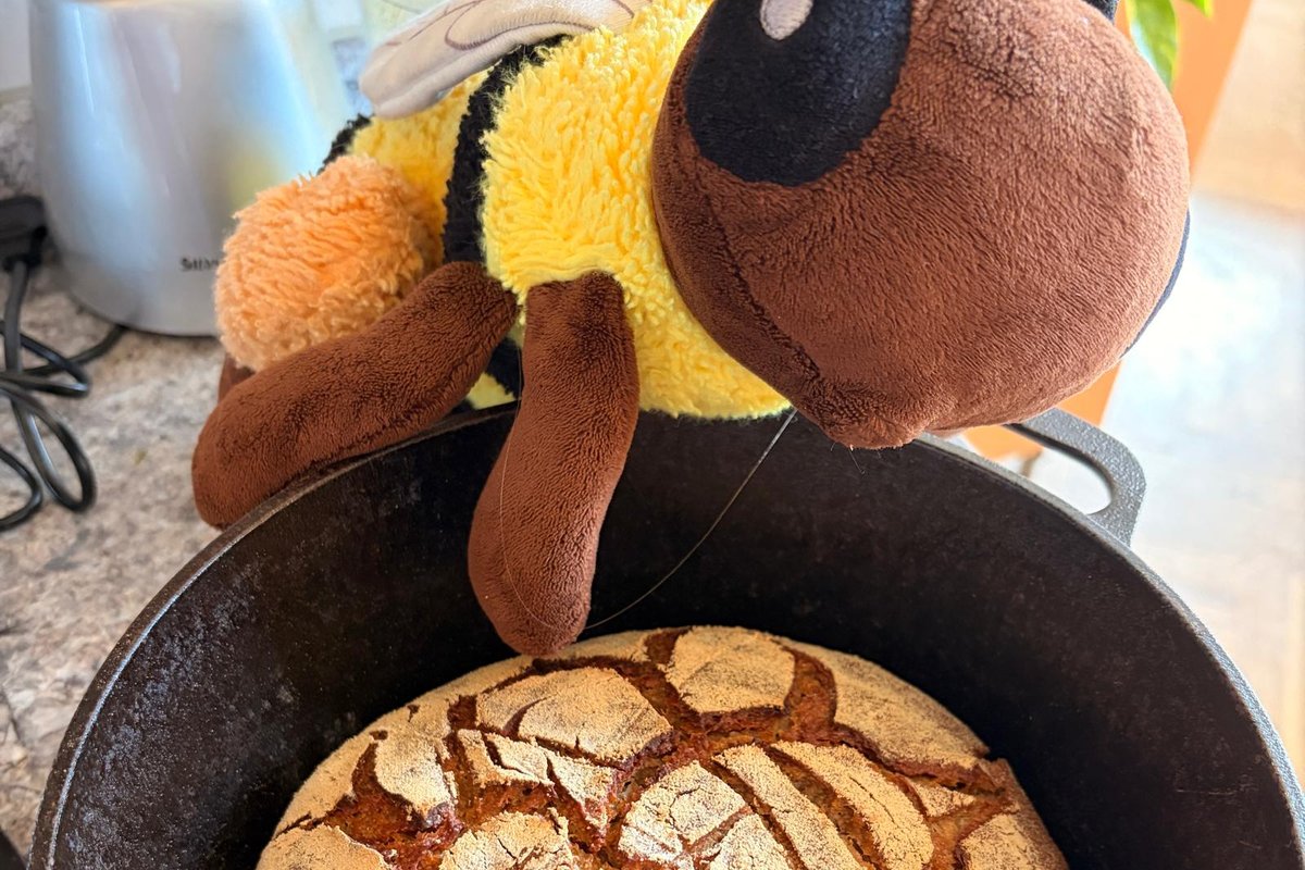 Titelbild für Beitrag: Vom Korn zum Brot