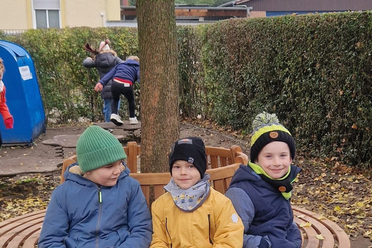 Titelbild für Beitrag: Baumbank zum 20. Schulgeburtstag